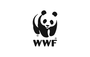 Logotipo de WWF sobre fondo transparente con los colores de la marca