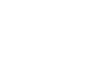 White Daily Maverick Logo