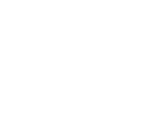 White King Price Logo