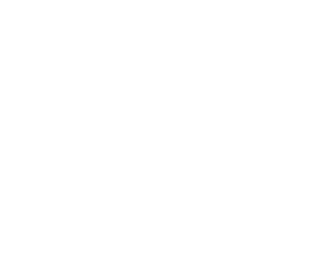 White Orbvest Logo