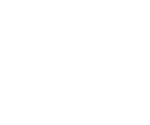 White Ozow Logo
